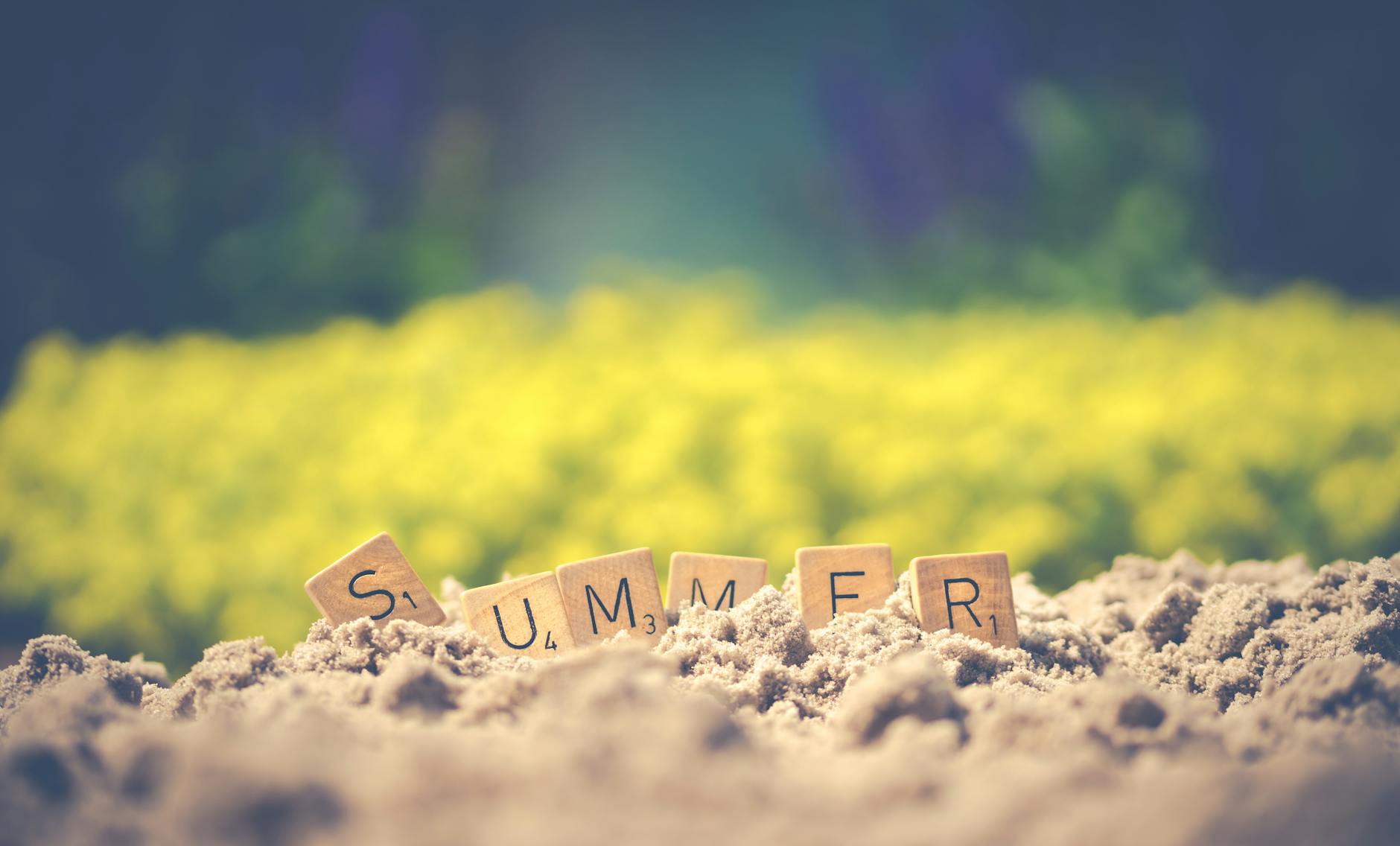 Your Summer Evenings Don’t Belong to Your Classroom